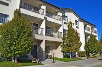 Best Western Plus Country Inn  Suites