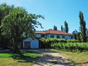Hotel Parronales