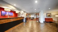Quality Inn & Suites Garland - East Dallas