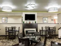 Comfort Inn & Suites St Pete - Clearwater International Airport Hotels in Pinellas County