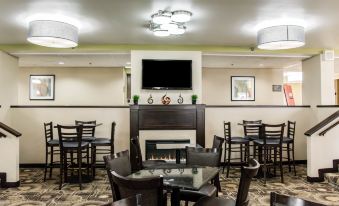Comfort Inn & Suites St Pete - Clearwater International Airport