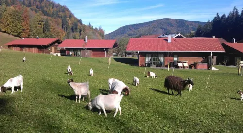 Beim Waicher Chalets & Suiten Zwischen Salzburg Und Chiemsee - Boutique