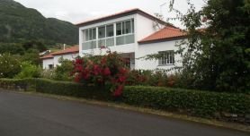 Tropical Fruit Garden