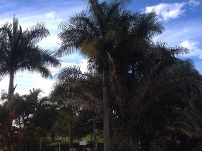 Finca El Bazar