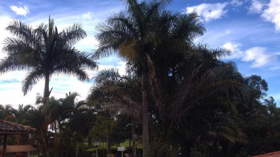 Finca El Bazar