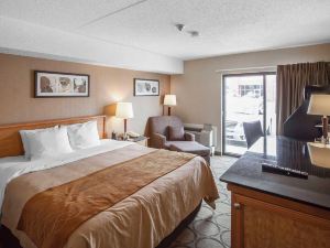 Comfort Inn Edmonton West