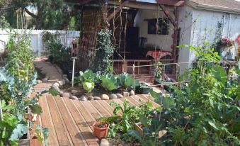 LAX Teresa Air B&B - Housity