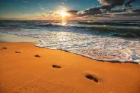 Chakas Cove - Beach