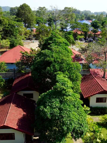 รูปภาพของเจ้าหลาว คาบาน่า รีสอร์ท