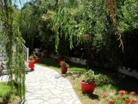 Aleka's House