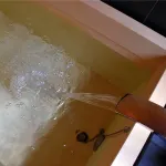 Ryokan Yanaseya Hotel a Gojō