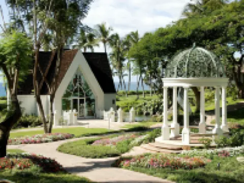 Grand Wailea Resort Hotel & Spa, A Waldorf Astoria Resort Hoteles en Wailea