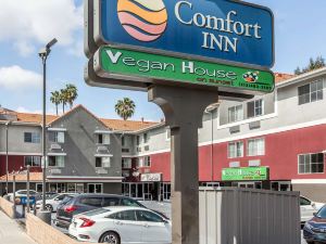 Comfort Inn Los Angeles near Hollywood