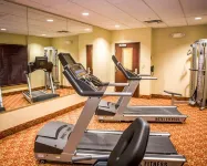 Holiday Inn Express & Suites CLEAR SPRING by IHG - Gym