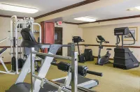Quality Inn & Suites Detroit Metro Airport - Gym