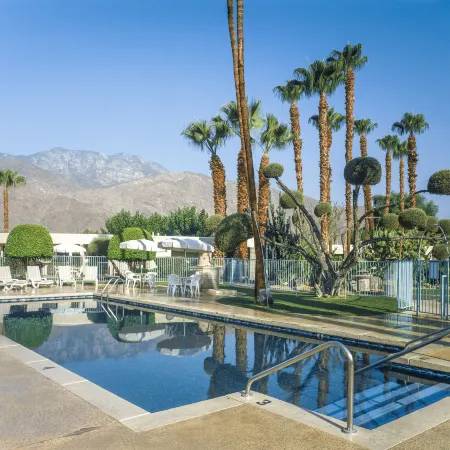 Desert Isle of Palm Springs