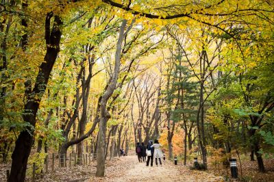 ホテル周辺 イビス スタイルズ アンバサダー ソウル カンナムの写真