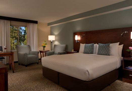 밀레니엄 호텔 더럼 이미지