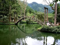 โรงแรมกิงค์โก โรงแรมใกล้ป่าหวังโหย่ว
