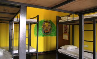 Eltravo Hostel Udaipur - Housity