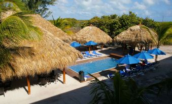 a tropical resort with thatched - roof huts , blue umbrellas , and a swimming pool surrounded by lush greenery at Anegada Beach Club