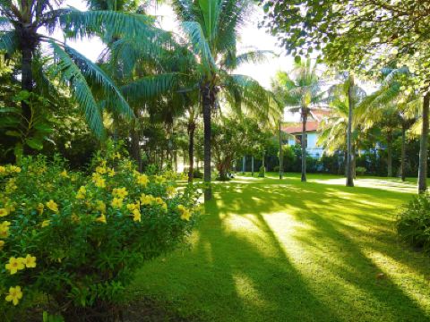 庭 フラマ リゾート ダナンの写真