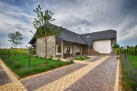 Villa Stone Hotels in Čatrnja