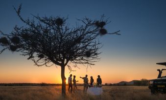 Ongava Tented Camp