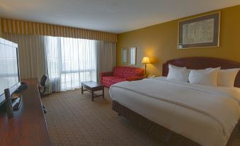 Mcm Elegante Hotel & Suites Lubbock