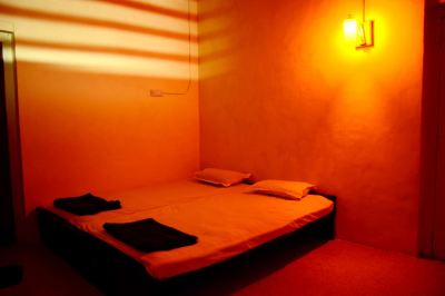 Other Wild Flower Photo