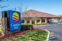 Quality Inn Marshall Near I-69 Hotels in Albion