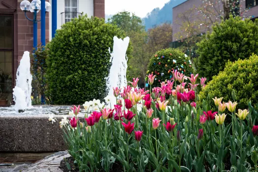 Kronen Hotel Hotels in der Nähe von Monbachtal