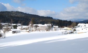 Ferien-Hotel Riesberghof