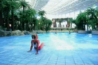 Wyndham Stralsund HanseDom - Pools
