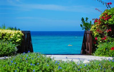 ホテルからの眺望 ホテル日航アリビラの写真