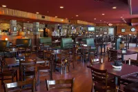Thumper Pond Resort Hotels in Ottertail