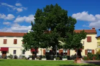Center Hotel