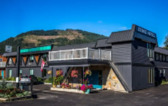 Stoke Hotel SureStay Collection by Best Western Hotels in 