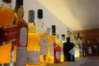 Hotel Gamshof - bar