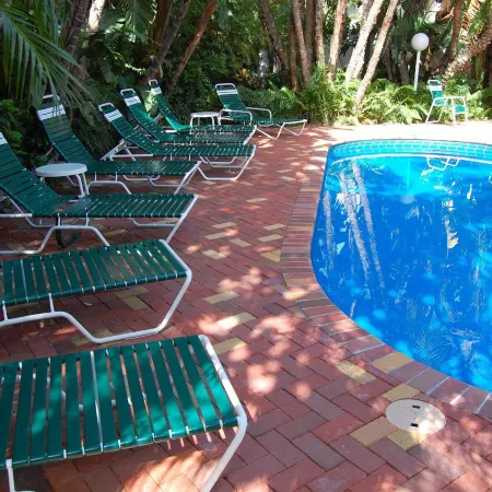 Siesta Key Palms