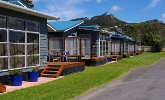 a row of small , blue wooden houses with wooden decking and blue roofs on a grassy area near a road at Hahei Beach Resort