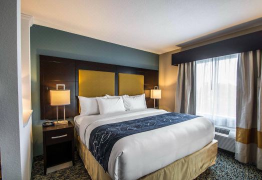 1. 컴포트 스위트 ..