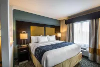 Comfort Suites Fort Lauderdale Airport South & Cruise Port Hotels in Dania Beach