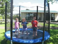 Otorohanga Kiwi Holiday Park Hotels in Otorohanga