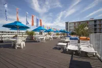 The Spinnaker