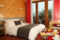 Hôtel le Christania Hotels in Haute-Savoie