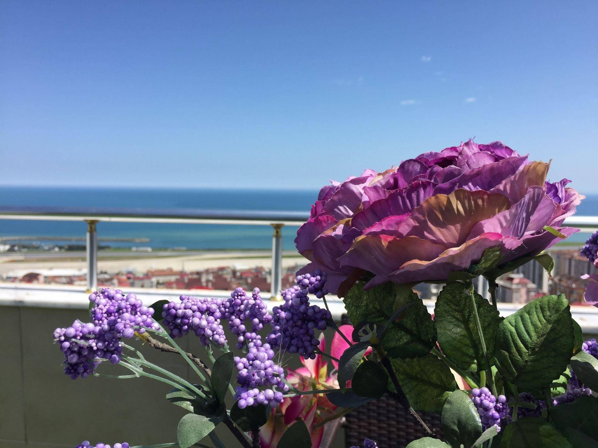 Andalouse Elegante Suite Hotel