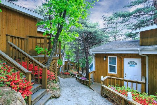 횡성 숲속그대별펜션