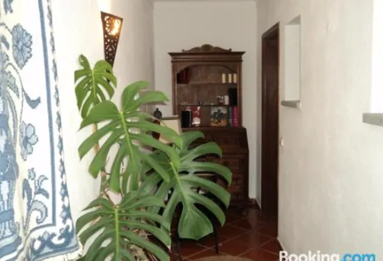 艾洛耶梅託佩羅羅德里格斯酒店