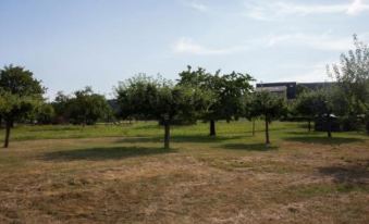 Spacious Holiday Home Between Mosel and Hunsr ck - Housity